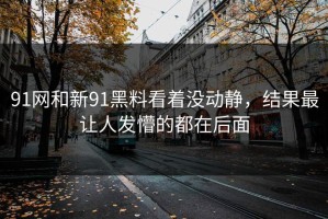 91网和新91黑料看着没动静，结果最让人发懵的都在后面
