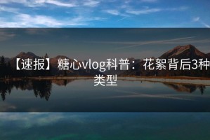 【速报】糖心vlog科普：花絮背后3种类型