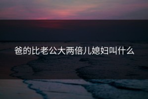 爸的比老公大两倍儿媳妇叫什么