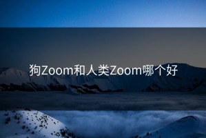狗Zoom和人类Zoom哪个好