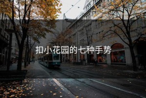 扣小花园的七种手势