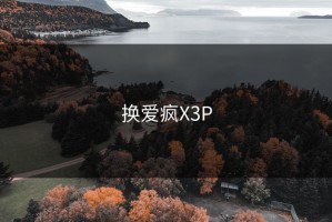 换爱疯X3P
